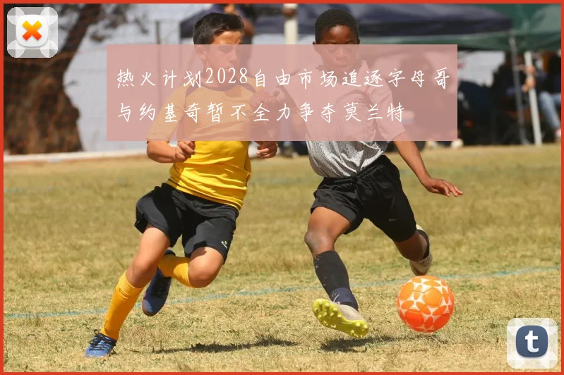 热火计划2028自由市场追逐字母哥与约基奇暂不全力争夺莫兰特