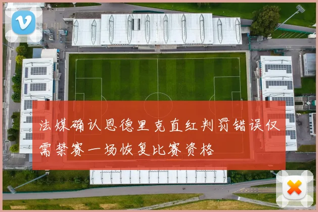 法媒确认恩德里克直红判罚错误仅需禁赛一场恢复比赛资格