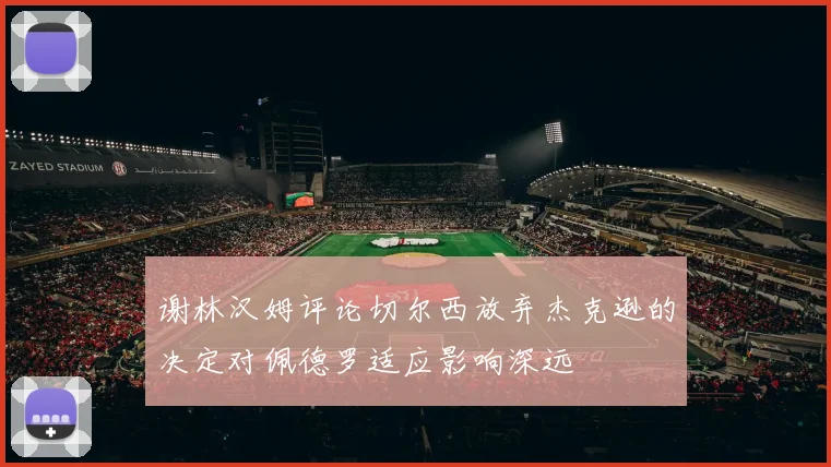 谢林汉姆评论切尔西放弃杰克逊的决定对佩德罗适应影响深远