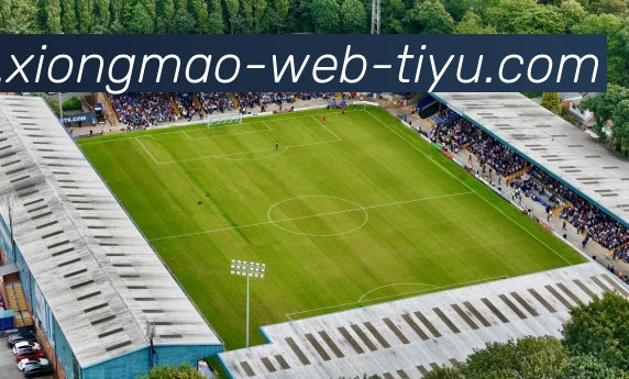 熊猫体育平台生态图